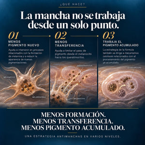 Derma MelaZero Serum POOM ayuda a reducir la apariencia de las manchas y a conseguir un tono de piel más uniforme y luminoso
