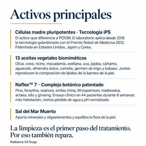 Ingredientes activos del limpiador facial en aceite POOM y sus propiedades