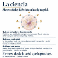 poom-reinforce-serum-ciencia-renovacion-piel