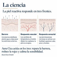 Explicación científica de la barrera cutánea y la reparación de la piel