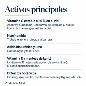 Principales ingredientes activos de POOM Vitamin C y sus propiedades